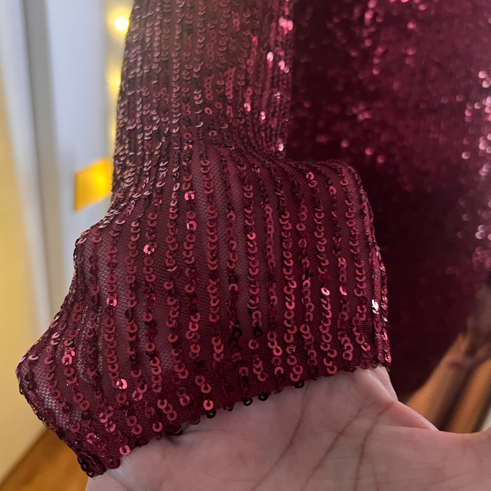 FASHION NOVA Burgundy Sequin Mini Dress - Picture 17 of 17